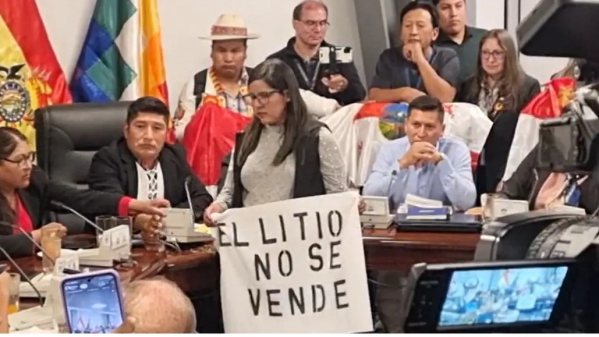 En medio de incidentes, comisión declara cuarto intermedio en sesión donde se trataba contrato de litio