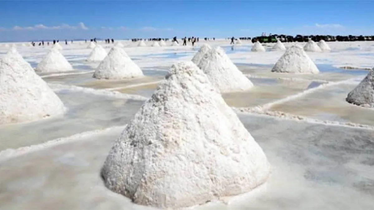 Con la llegada del nuevo gobierno, Arce afirma que los contratos del litio están en ‘riesgo’