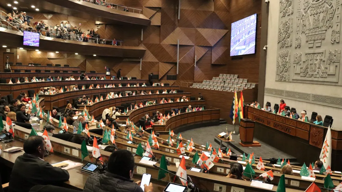 Cámara de Diputados no logra avanzar en proyecto de ley de subnacionales y aguarda informe de comisión