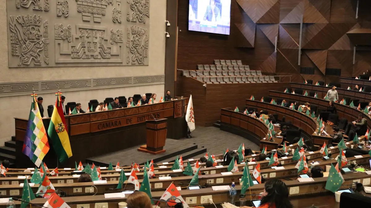 Cámara de Diputados logra consensos y sanciona ley de las elecciones subnacionales