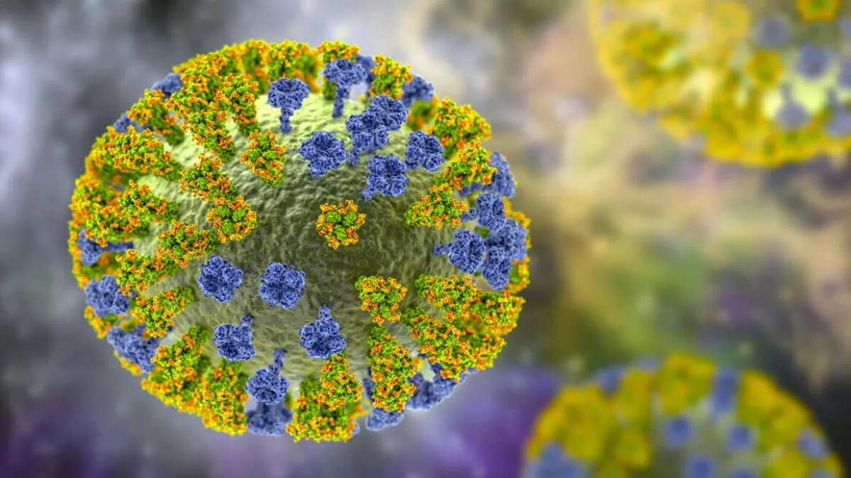 La gripe K ya está en Bolivia y pudo haber provocado una muerte