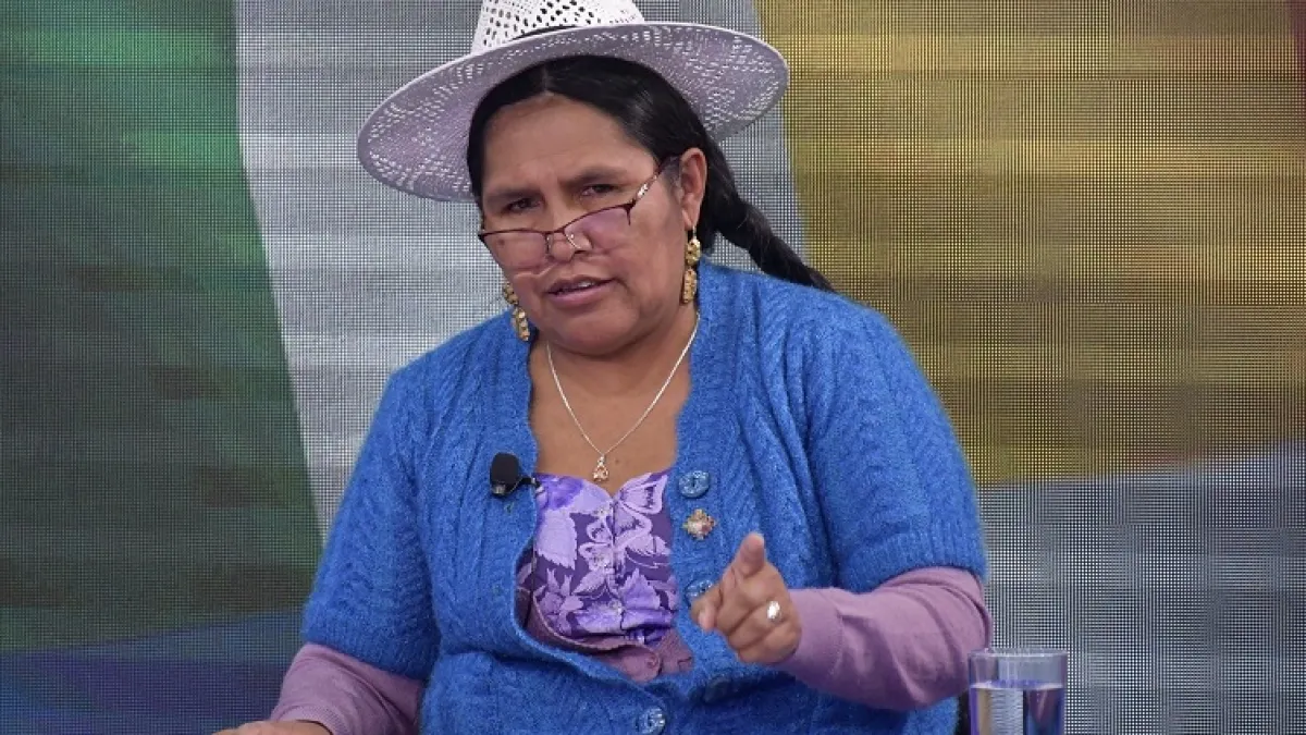 Exministra Sabina Orellana intentó salir del país por la frontera con Argentina